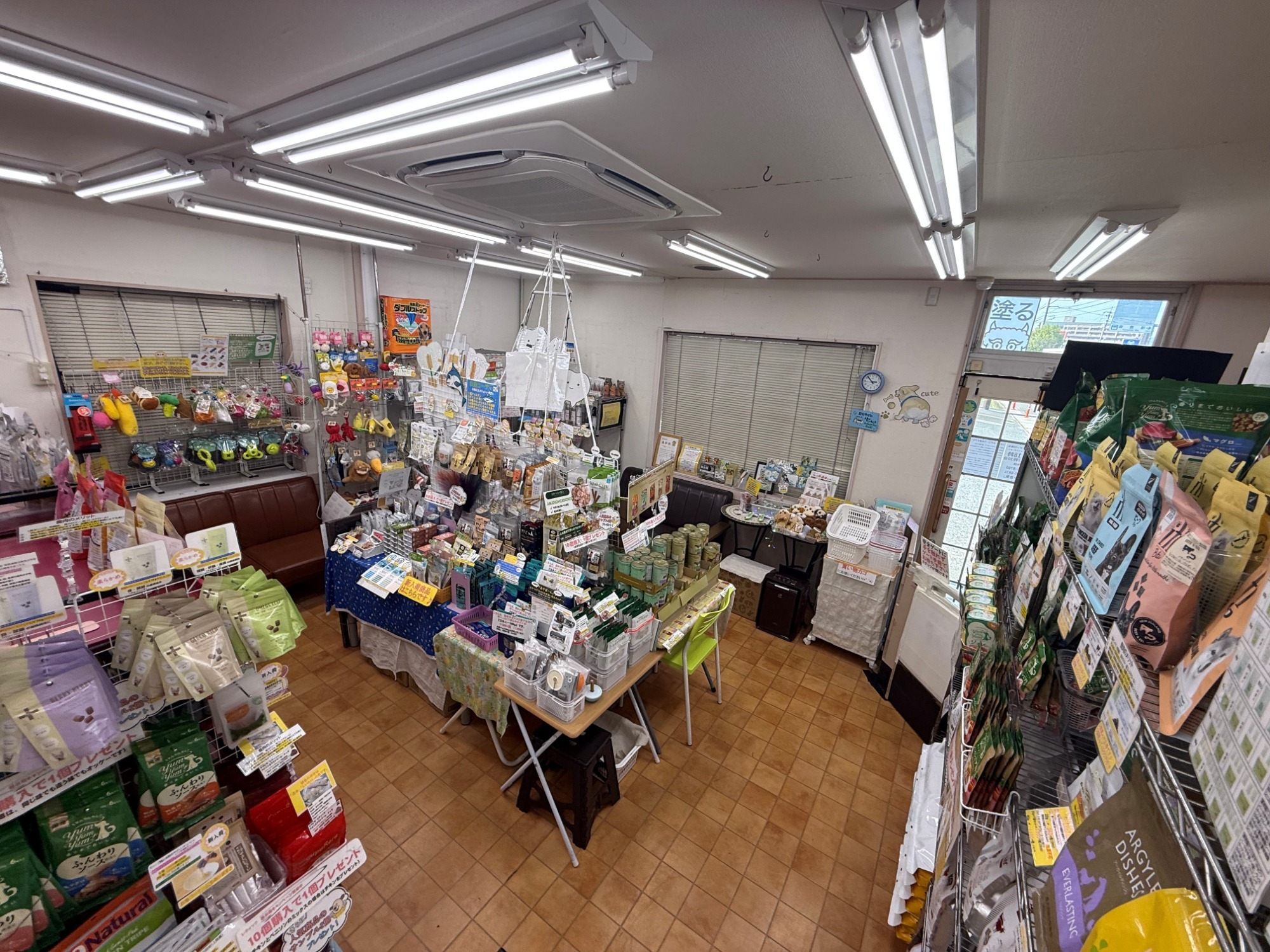 写真：店舗内観