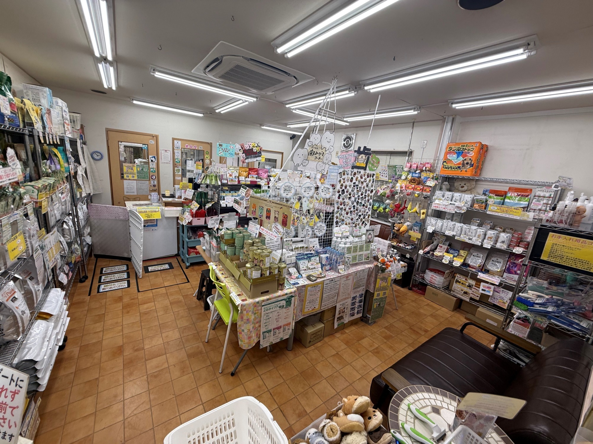 写真：店舗内観